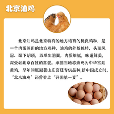 契之味生态散养土鸡蛋56枚家庭装（先发提货券）