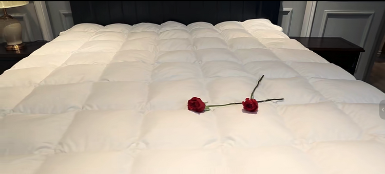 帕南笛高档鹅绒被