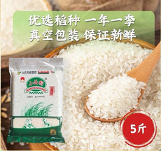天津日思小站稻大米5斤2袋家庭装