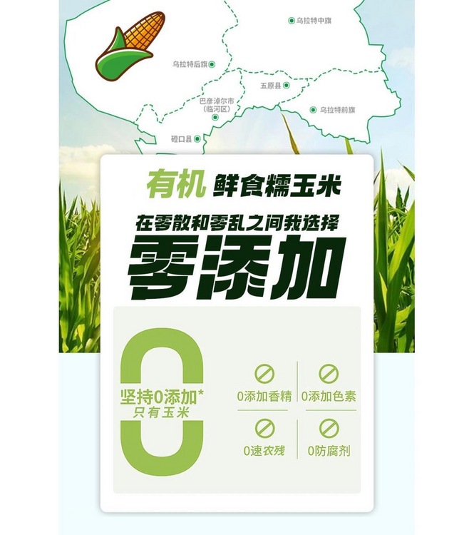 秋天的味道有机鲜糯玉米10根装