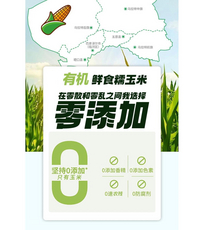 秋天的味道有机鲜糯玉米10根装