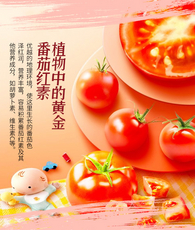 冠农番茄丁家庭健康组