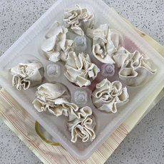 清真私坊斋巧手烧麦【发券发券发券先发券】