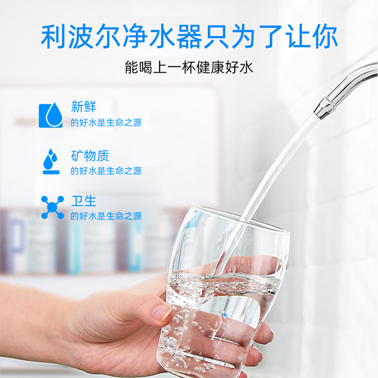 利波尔透视净水器家庭装