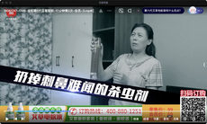 金和第6代艾草驱蚊9件套/金和第6代艾草驱蚊18件套